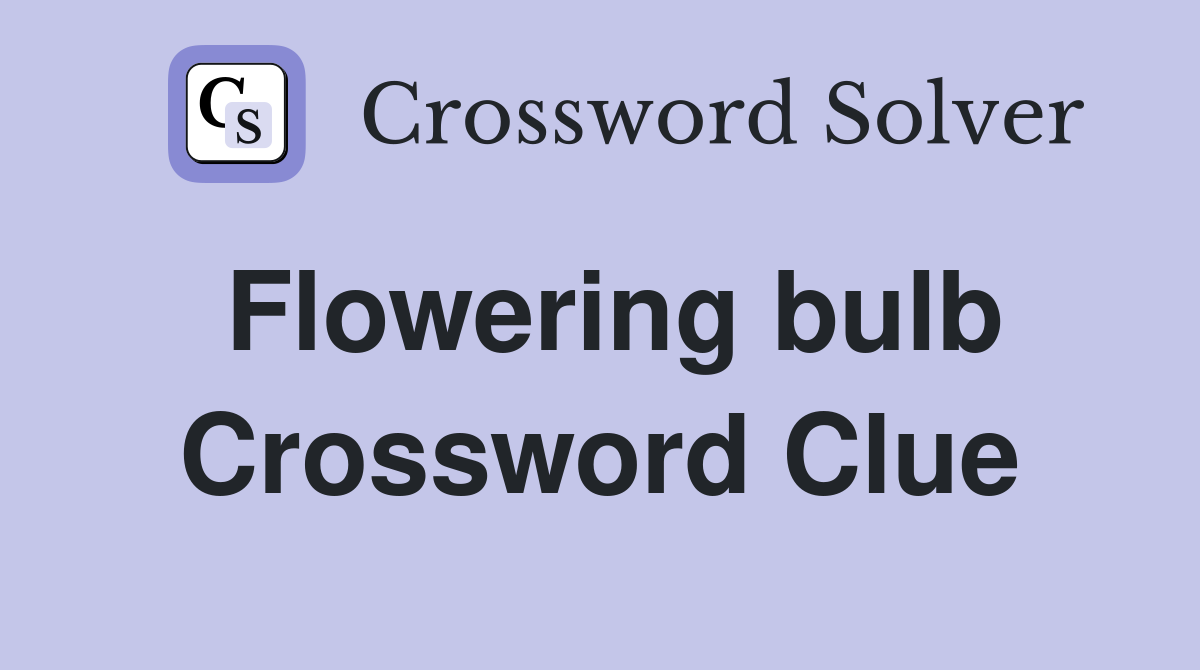 Flowering bulb Crossword Clue