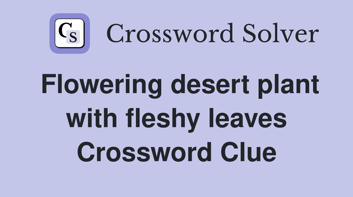 Flowering desert plant with fleshy leaves Crossword Clue
