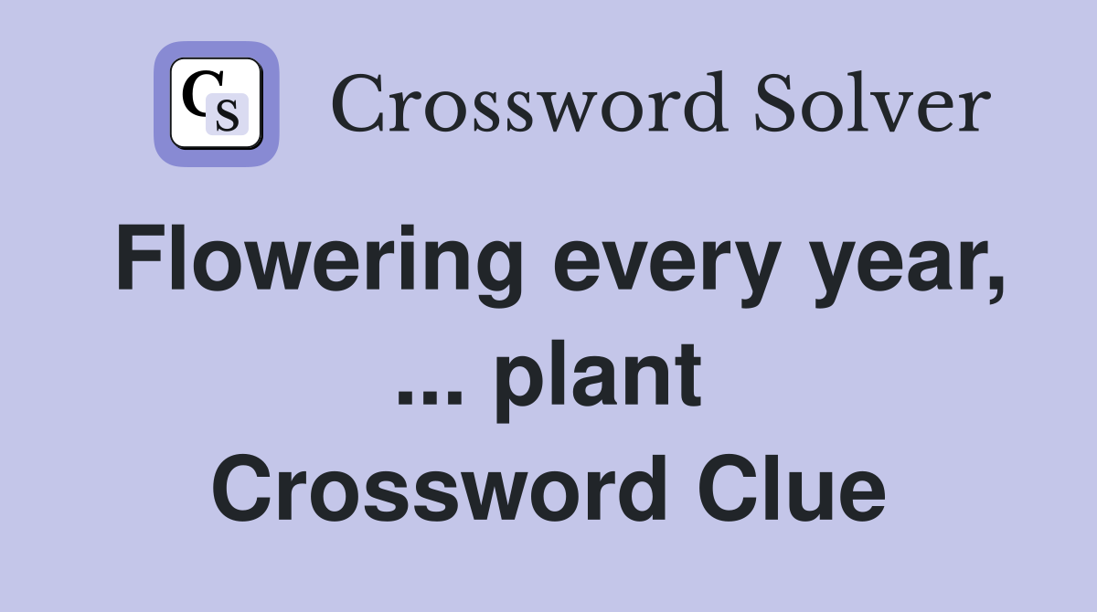 Flowering every year, ... plant Crossword Clue