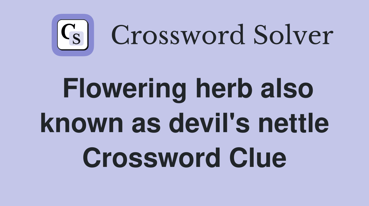 Flowering herb also known as devil's nettle Crossword Clue