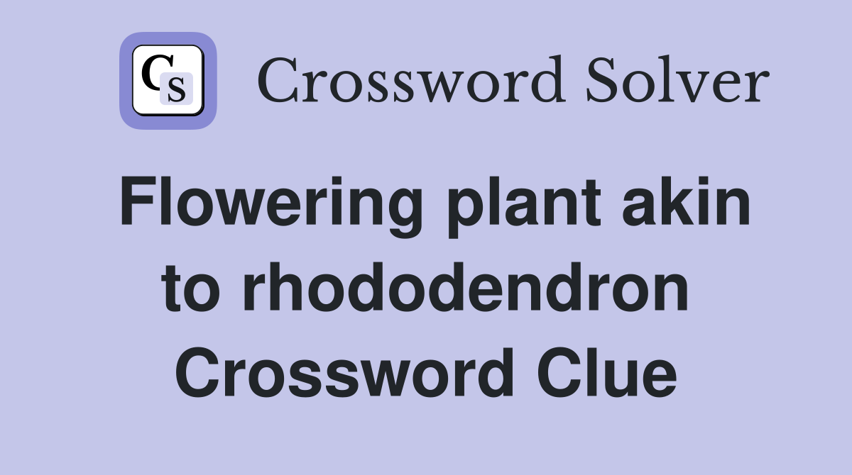 Flowering plant akin to rhododendron Crossword Clue