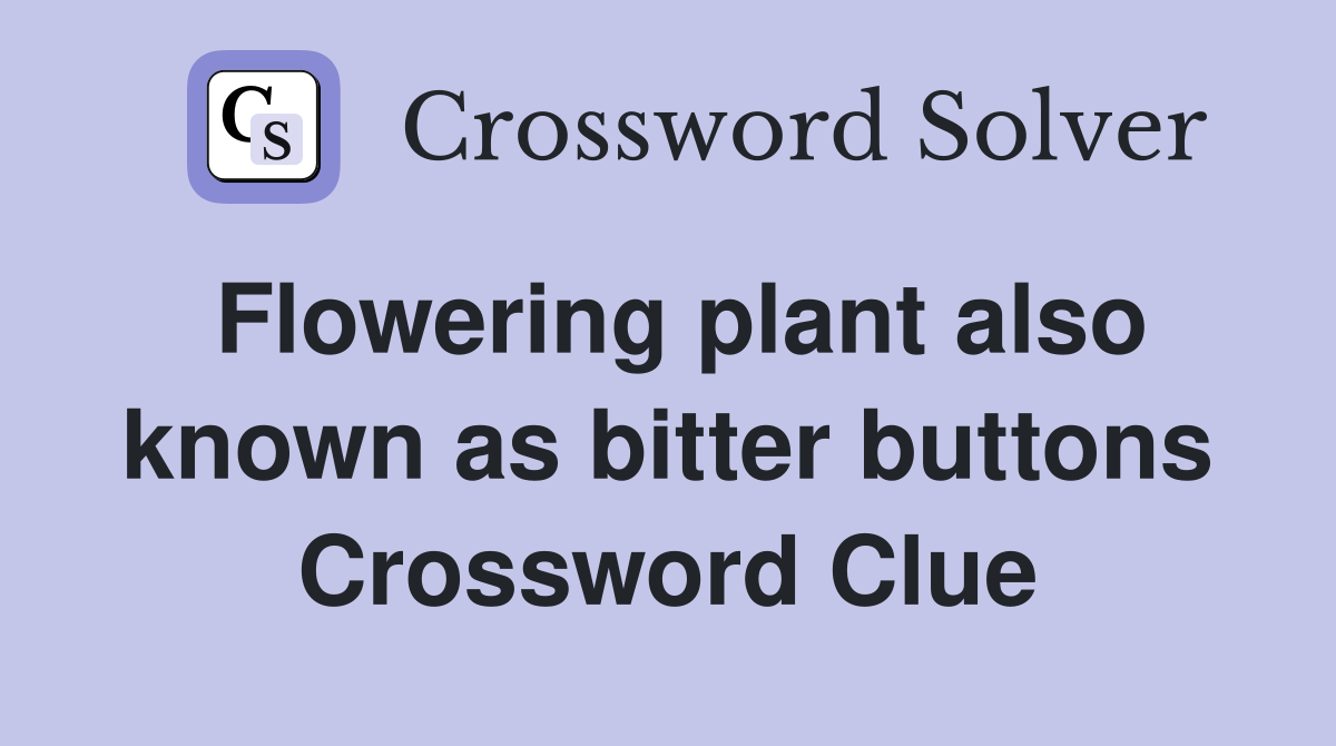 Flowering plant also known as bitter buttons Crossword Clue