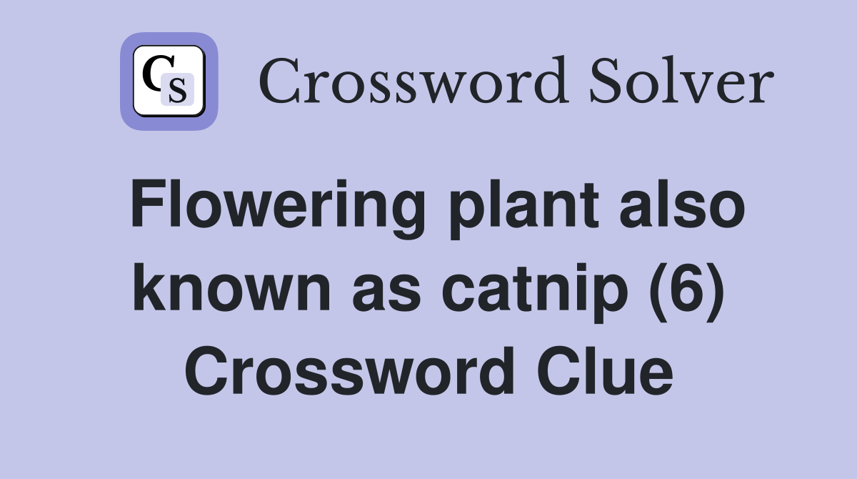 Flowering plant also known as catnip (6) Crossword Clue