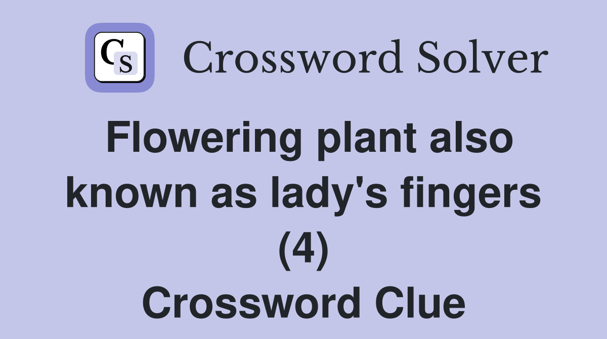 Flowering plant also known as lady's fingers (4) Crossword Clue