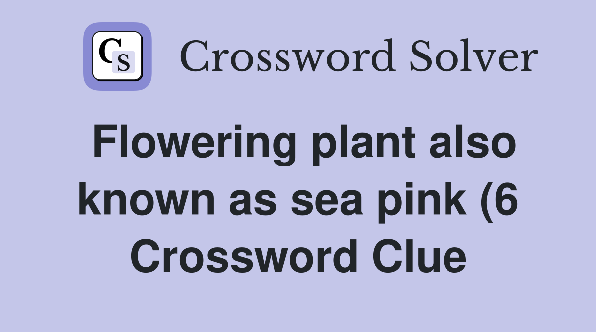 Flowering plant also known as sea pink (6) Crossword Clue Answers Flowering plant also known as sea pink (6) Crossword Clue Answers