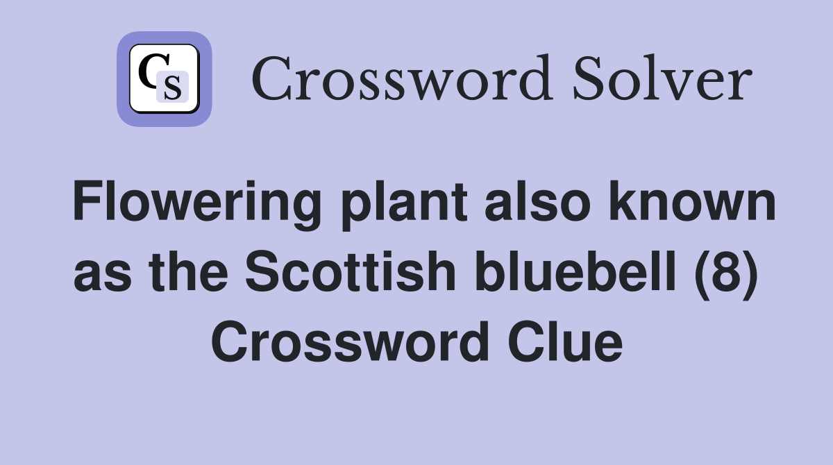 Flowering plant also known as the Scottish bluebell (8) Crossword Clue