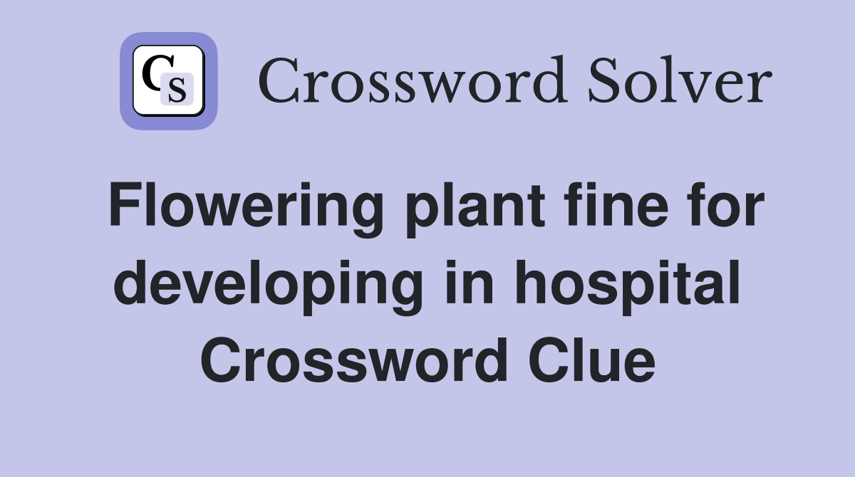 Flowering plant fine for developing in hospital Crossword Clue