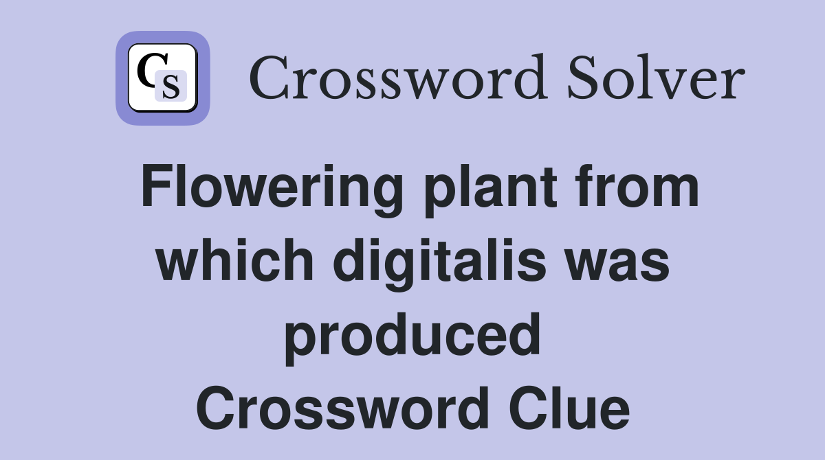 Flowering plant from which digitalis was produced Crossword Clue