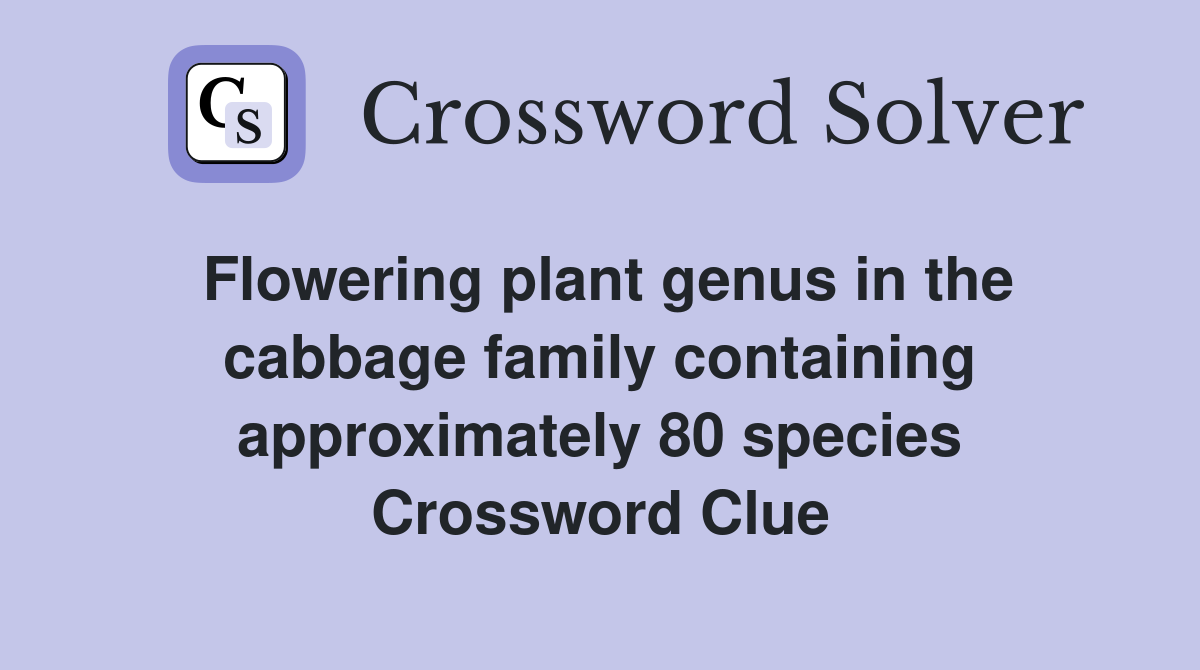 Flowering plant genus in the cabbage family containing approximately 80 species Crossword Clue