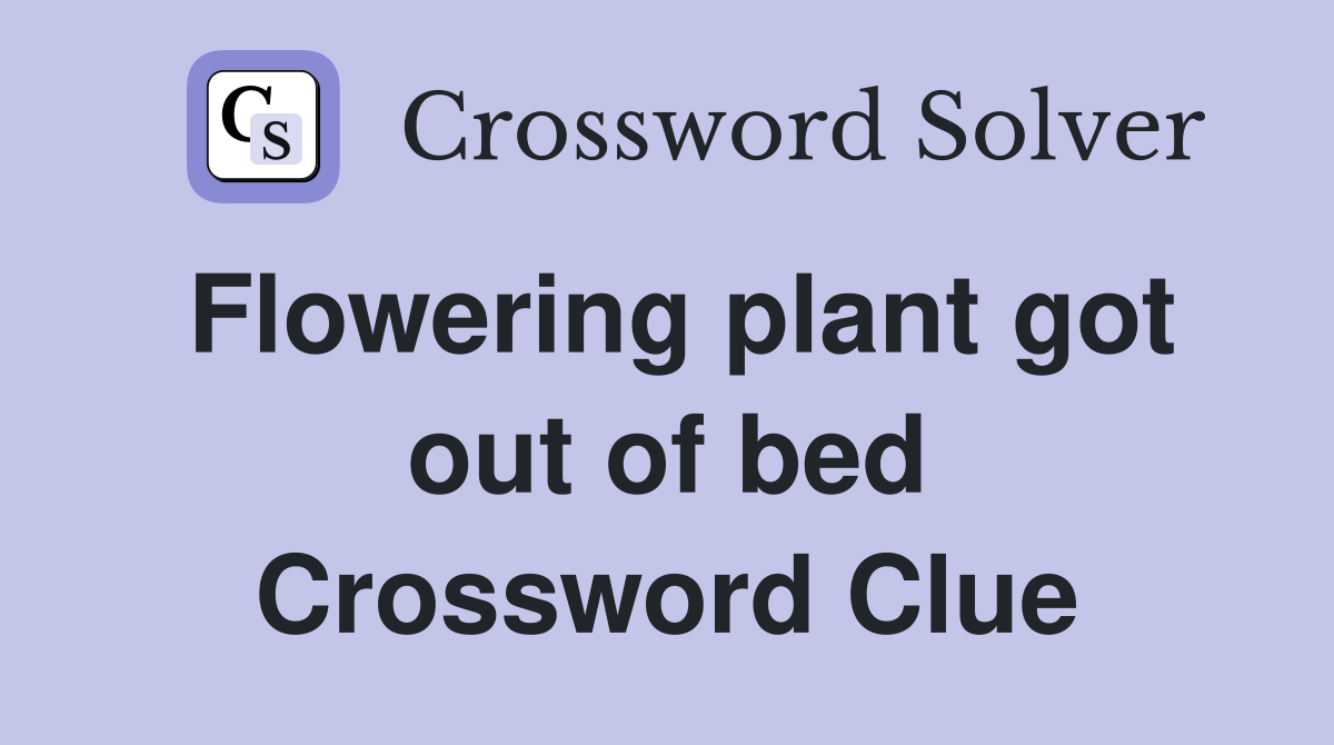 Flowering plant got out of bed Crossword Clue