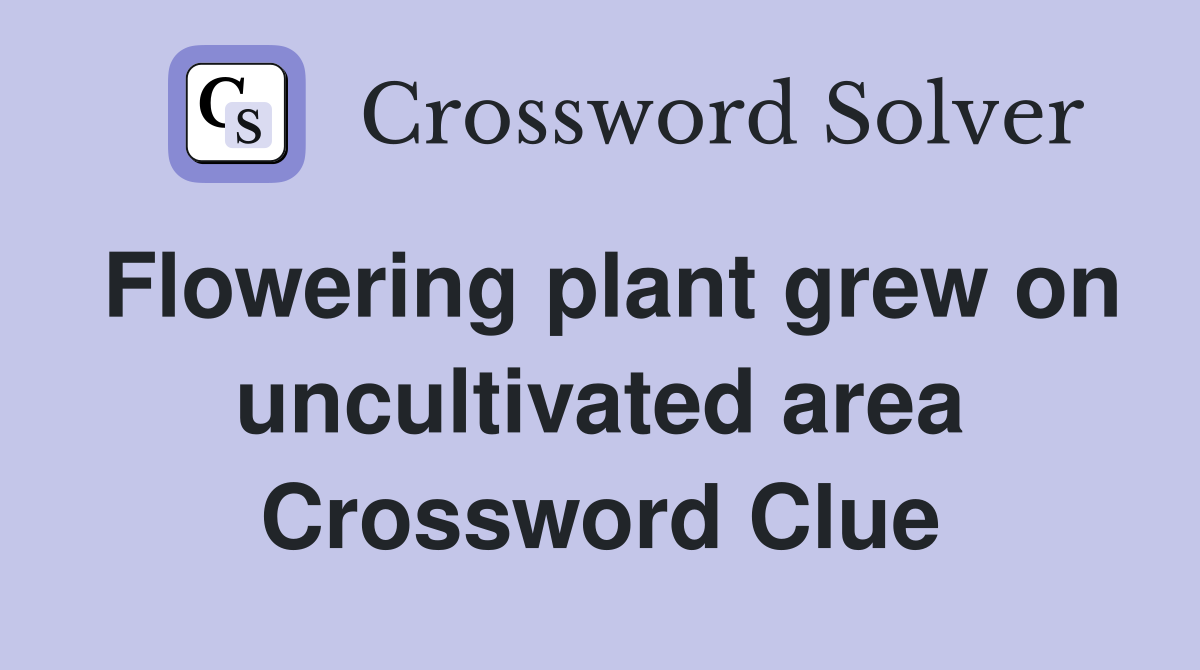Flowering plant grew on uncultivated area Crossword Clue