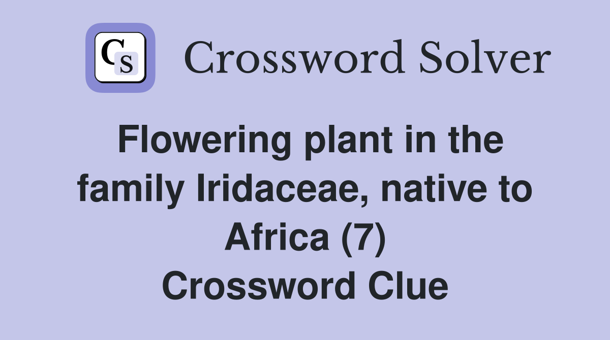 Flowering plant in the family Iridaceae, native to Africa (7) Crossword Clue