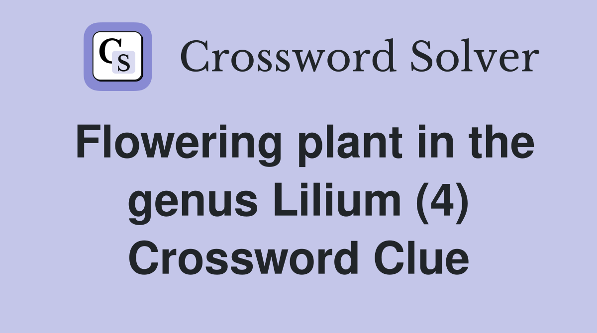 Flowering plant in the genus Lilium (4) Crossword Clue