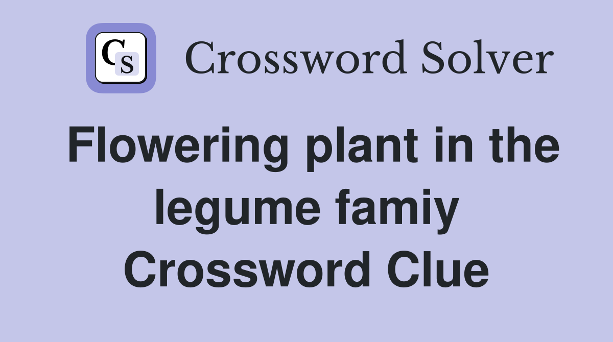 Flowering plant in the legume famiy Crossword Clue