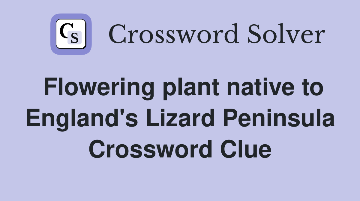 Flowering plant native to England's Lizard Peninsula Crossword Clue