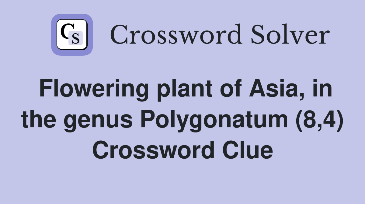 Flowering plant of Asia, in the genus Polygonatum (8,4) Crossword Clue