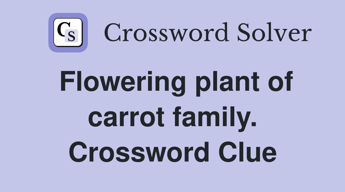 Flowering plant of carrot family. Crossword Clue