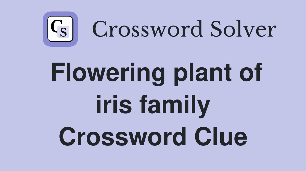 Flowering plant of iris family Crossword Clue