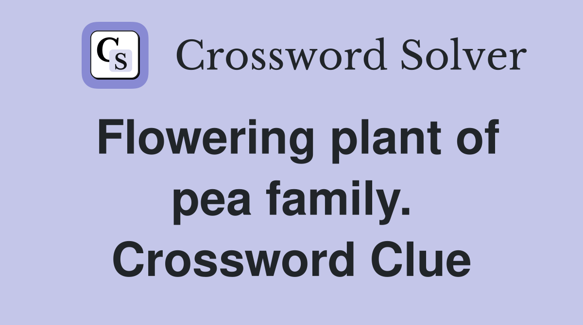 Flowering plant of pea family. Crossword Clue