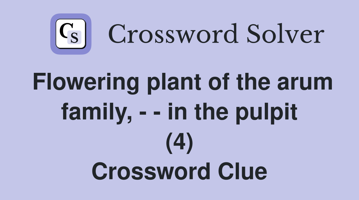 Flowering plant of the arum family, - - in the pulpit (4) Crossword Clue
