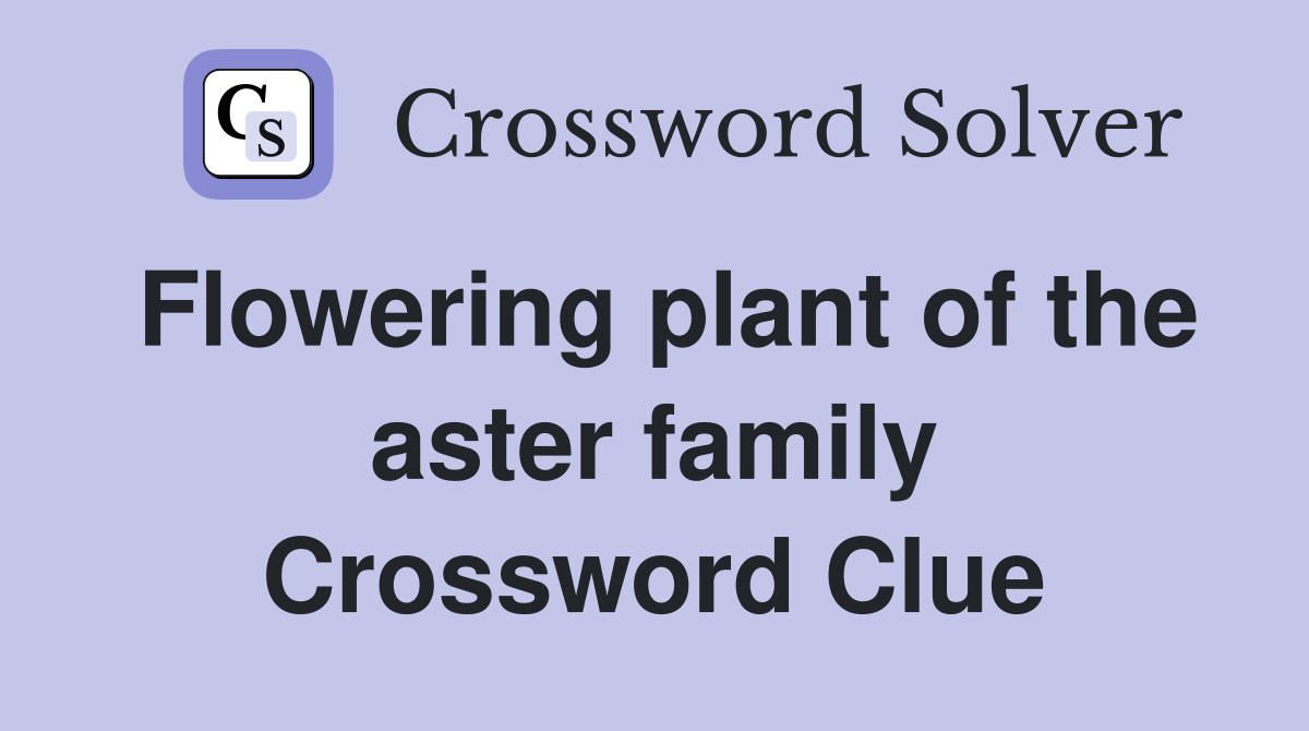Flowering plant of the aster family Crossword Clue