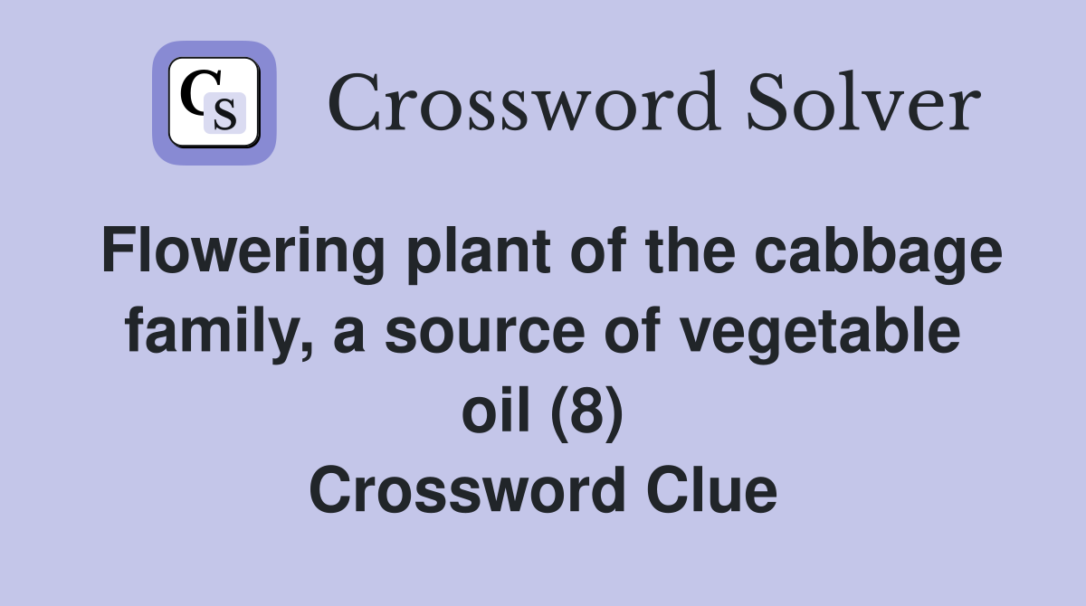 Flowering plant of the cabbage family, a source of vegetable oil (8) Crossword Clue