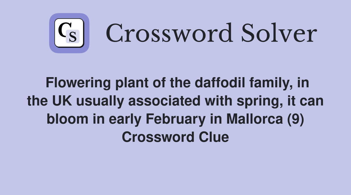 Flowering plant of the daffodil family, in the UK usually associated with spring, it can bloom in early February in Mallorca (9) Crossword Clue