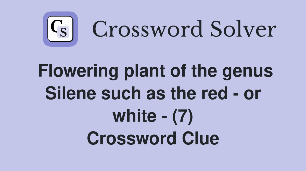 Flowering plant of the genus Silene such as the red - or white - (7) Crossword Clue