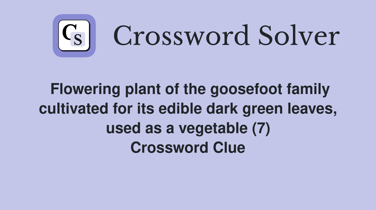 Flowering plant of the goosefoot family cultivated for its edible dark green leaves, used as a vegetable (7) Crossword Clue