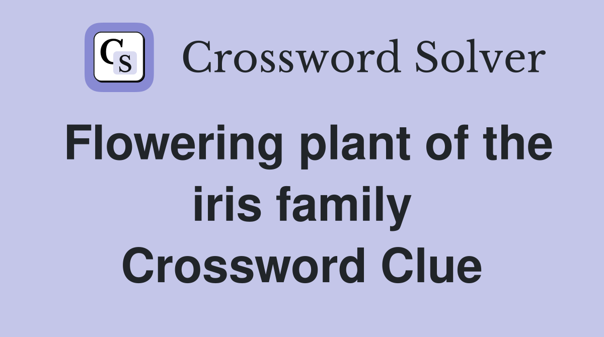 Flowering plant of the iris family Crossword Clue