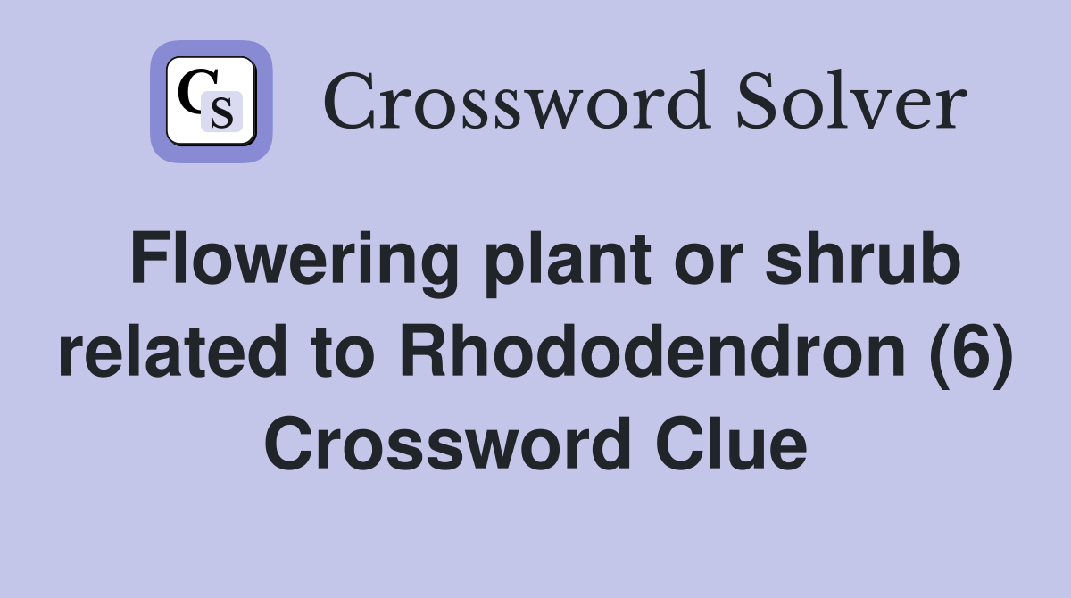 Flowering plant or shrub related to Rhododendron (6) Crossword Clue