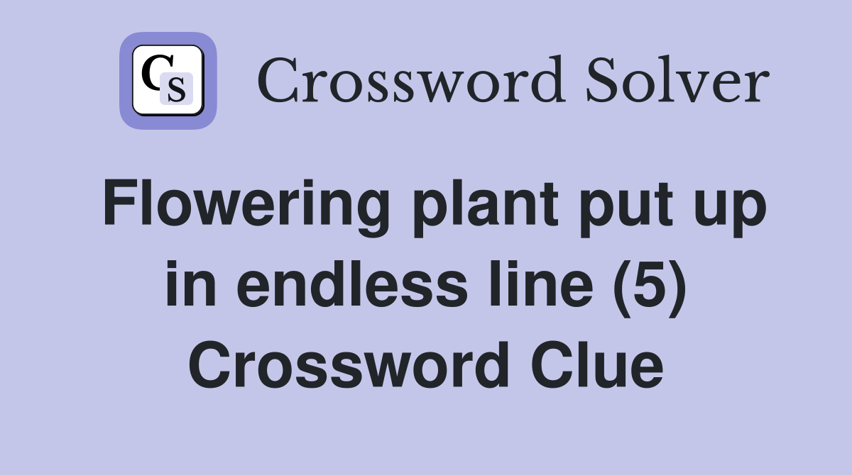 Flowering plant put up in endless line (5) Crossword Clue