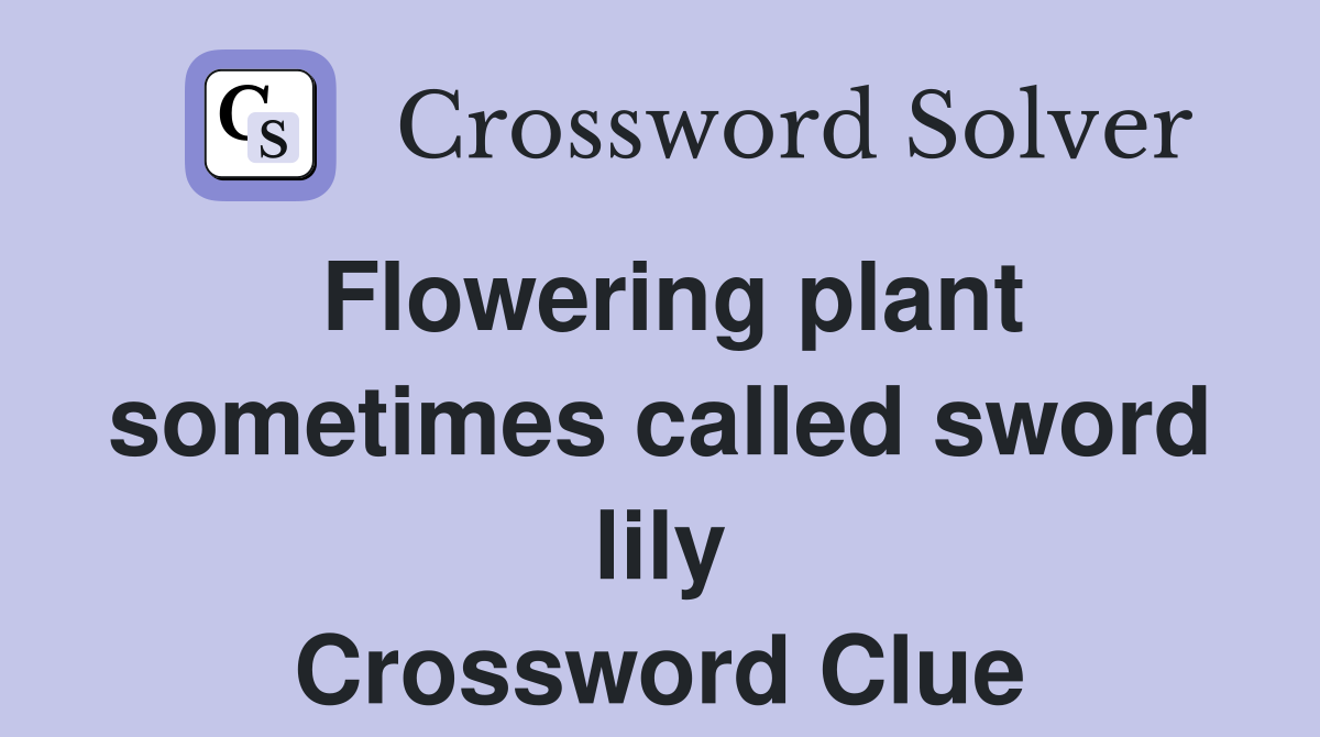 Flowering plant sometimes called sword lily Crossword Clue