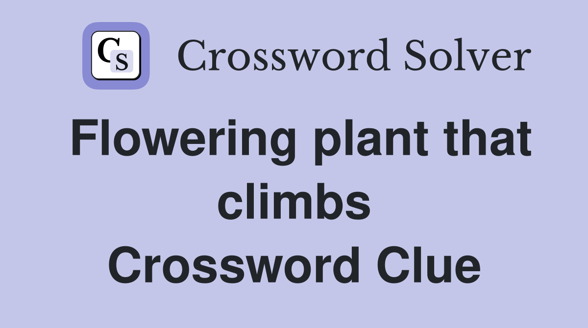 Flowering plant that climbs Crossword Clue