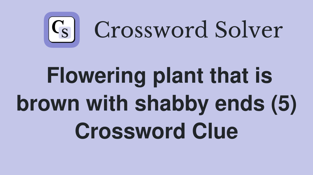 Flowering plant that is brown with shabby ends (5) Crossword Clue