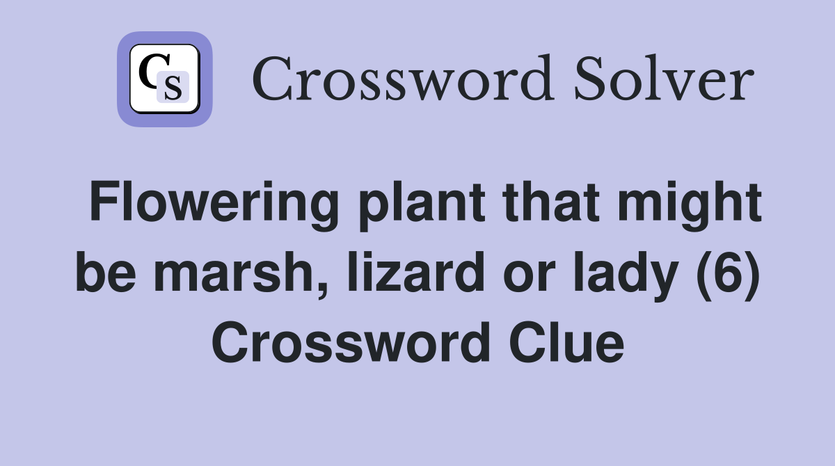 Flowering plant that might be marsh, lizard or lady (6) Crossword Clue