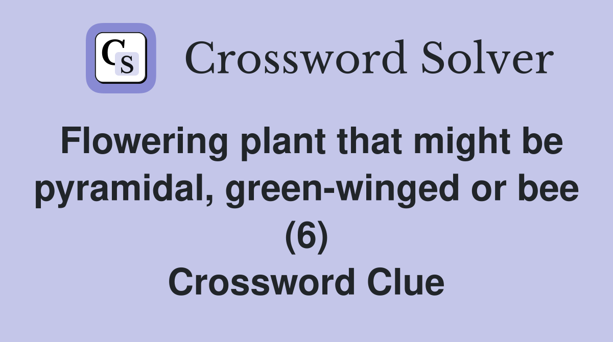 Flowering plant that might be pyramidal, green-winged or bee (6) Crossword Clue