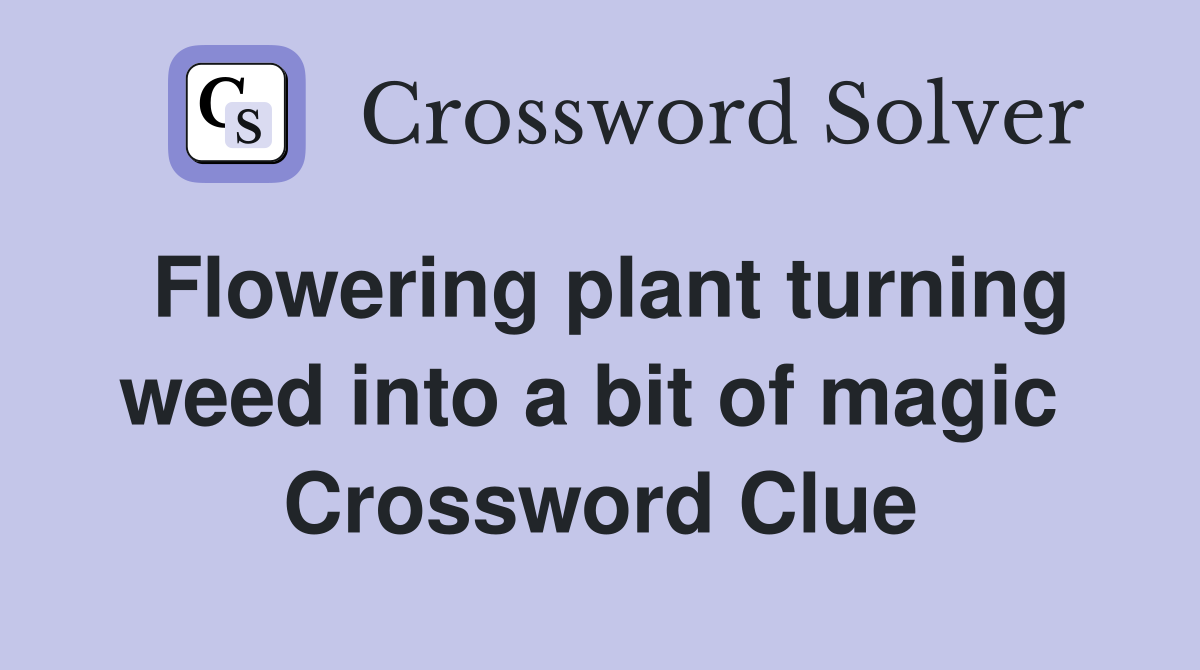 Flowering plant turning weed into a bit of magic  Crossword Clue