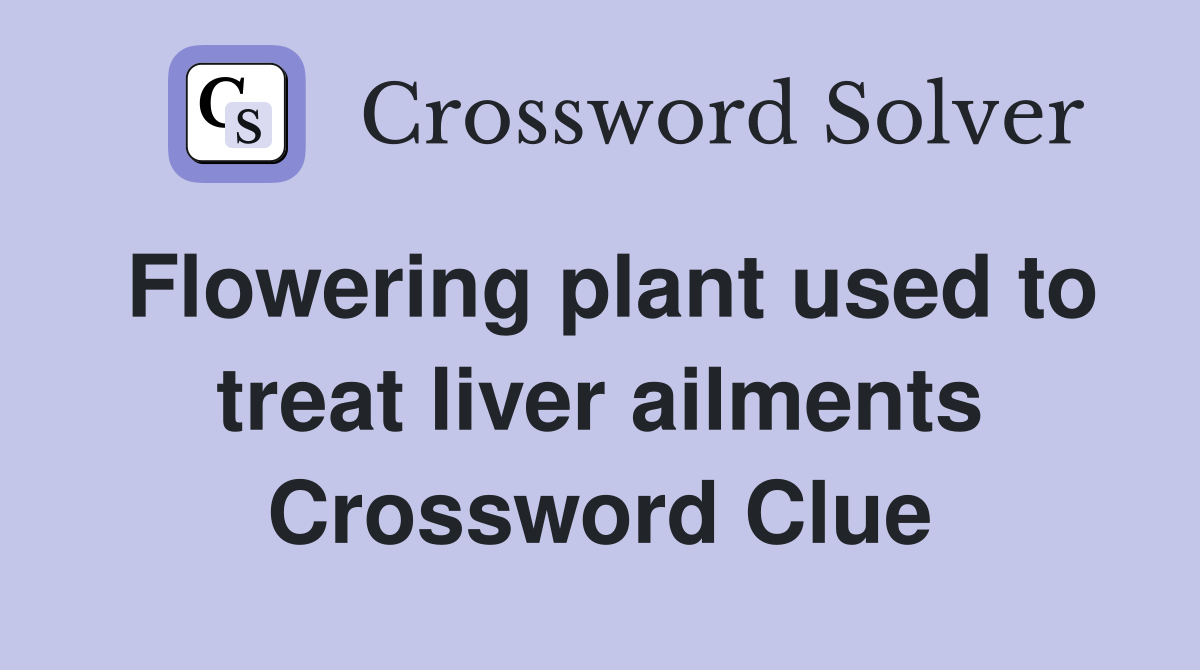 Flowering plant used to treat liver ailments Crossword Clue