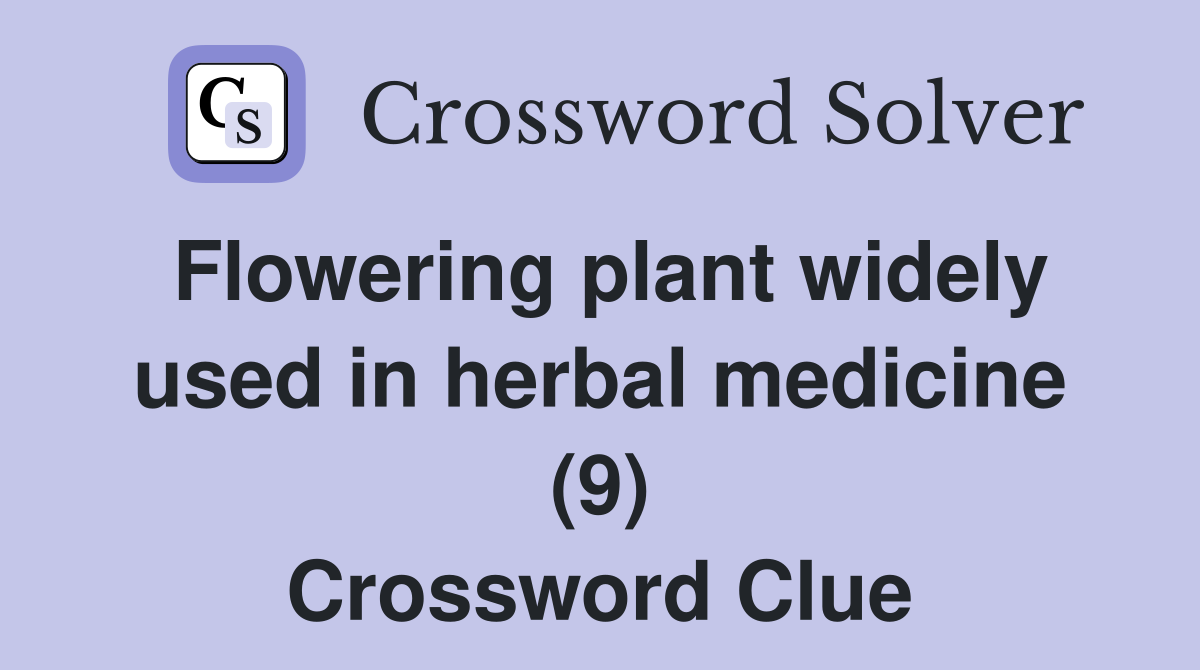 Flowering plant widely used in herbal medicine (9) Crossword Clue