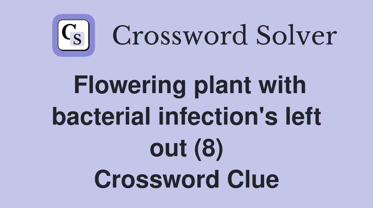 Flowering plant with bacterial infection's left out (8) Crossword Clue