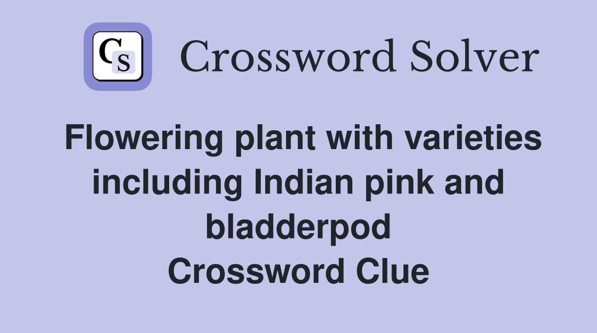 Flowering plant with varieties including Indian pink and bladderpod Crossword Clue