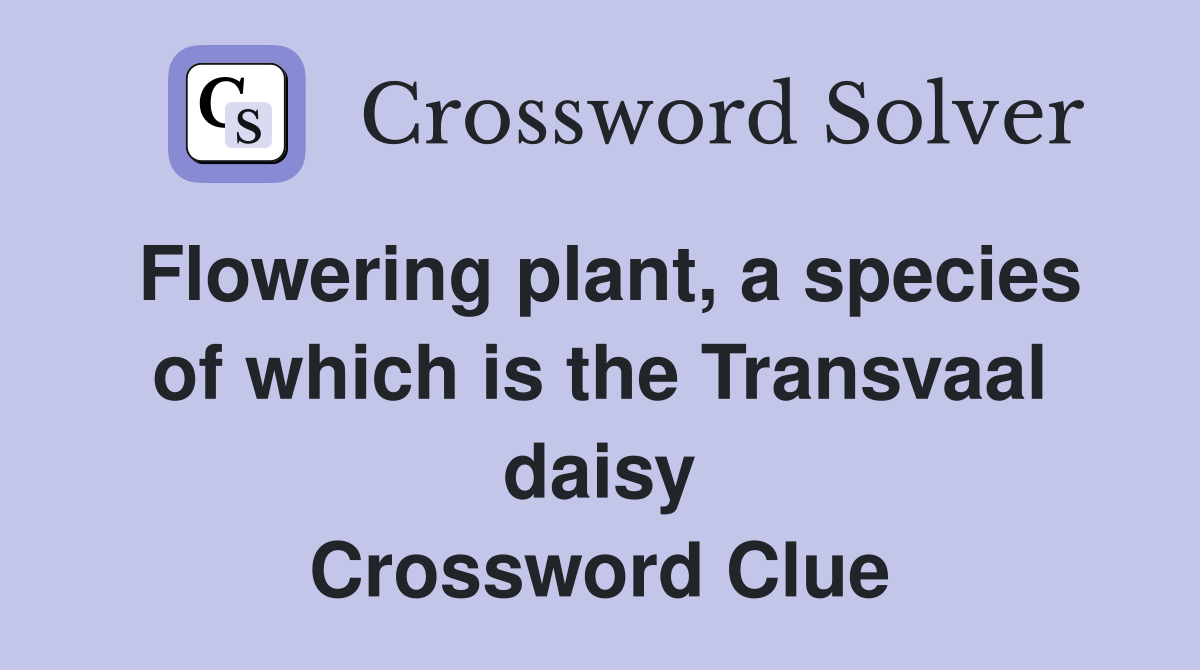Flowering plant, a species of which is the Transvaal daisy Crossword Clue