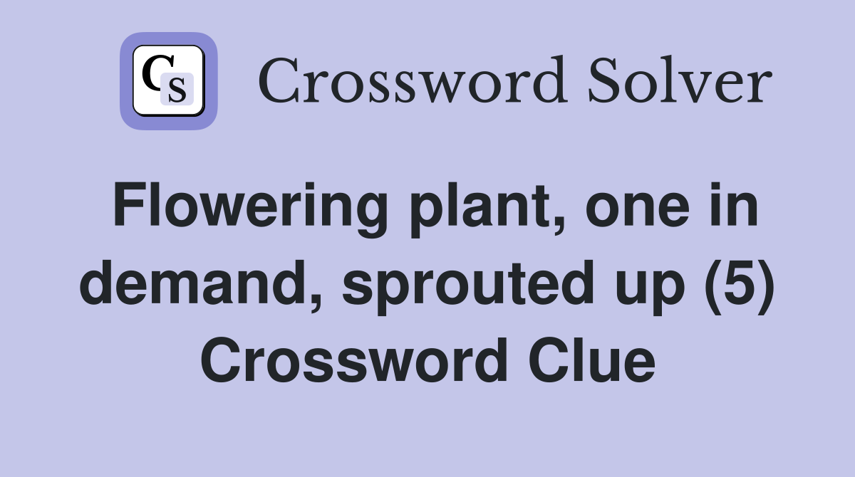 Flowering plant, one in demand, sprouted up (5) Crossword Clue