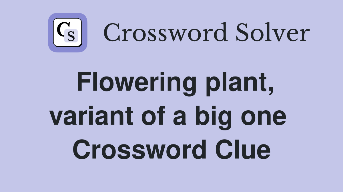 Flowering plant, variant of a big one  Crossword Clue