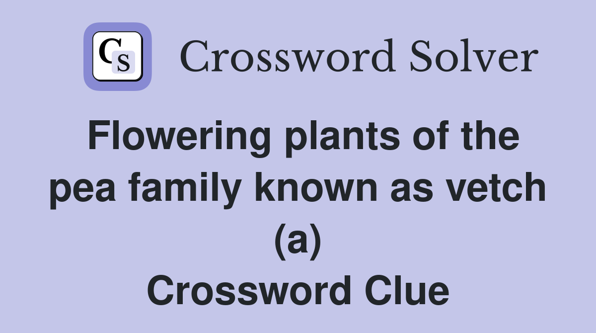 Flowering plants of the pea family known as vetch (a) Crossword Clue