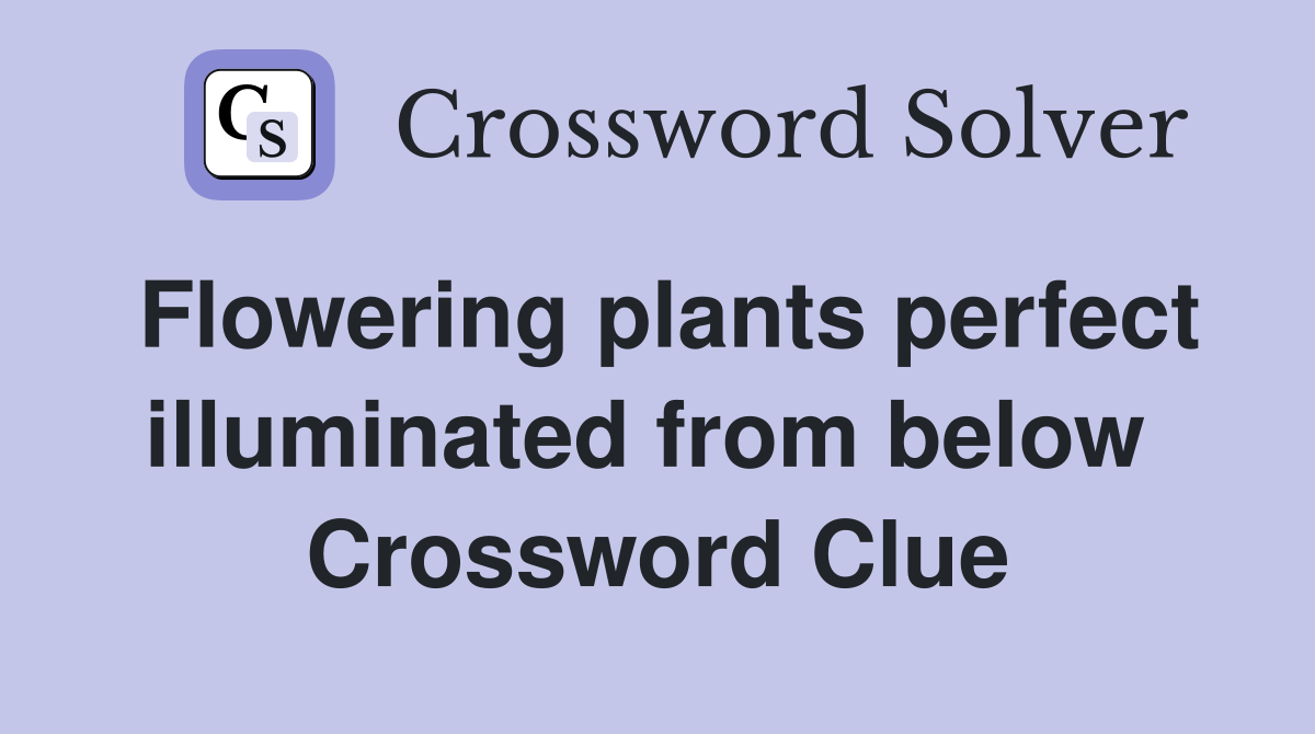 Flowering plants perfect illuminated from below  Crossword Clue