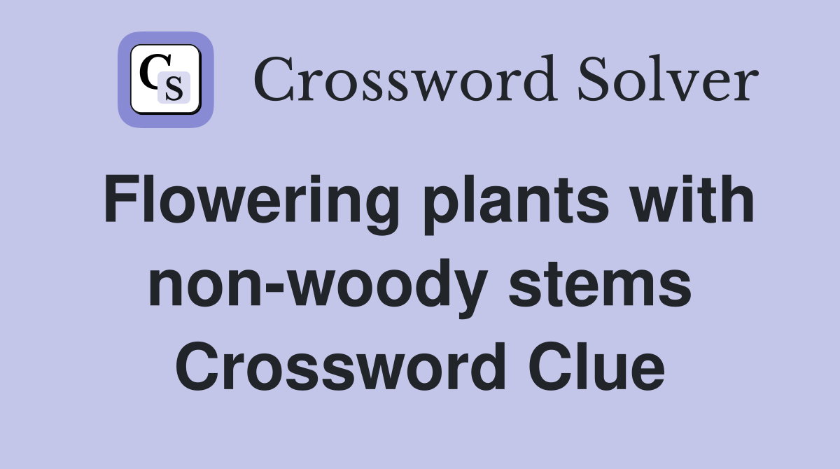 Flowering plants with non-woody stems Crossword Clue