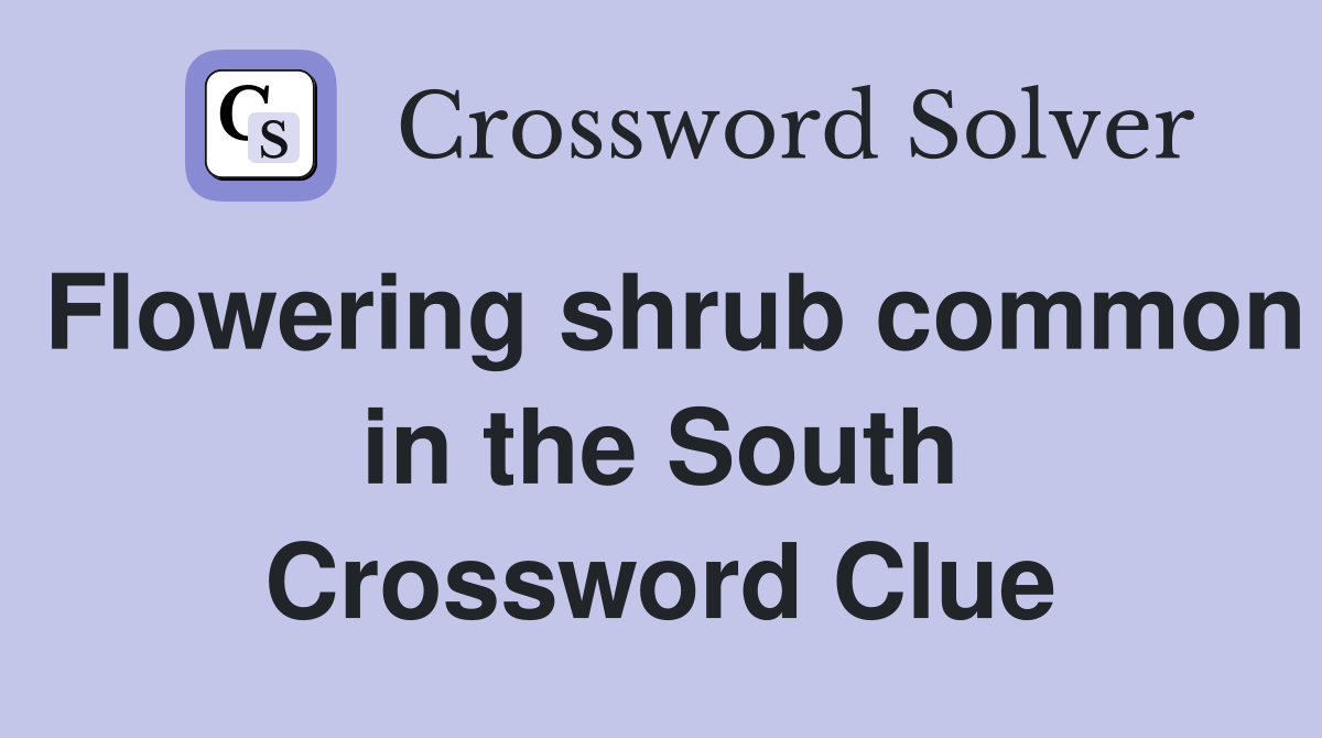 Flowering shrub common in the South Crossword Clue