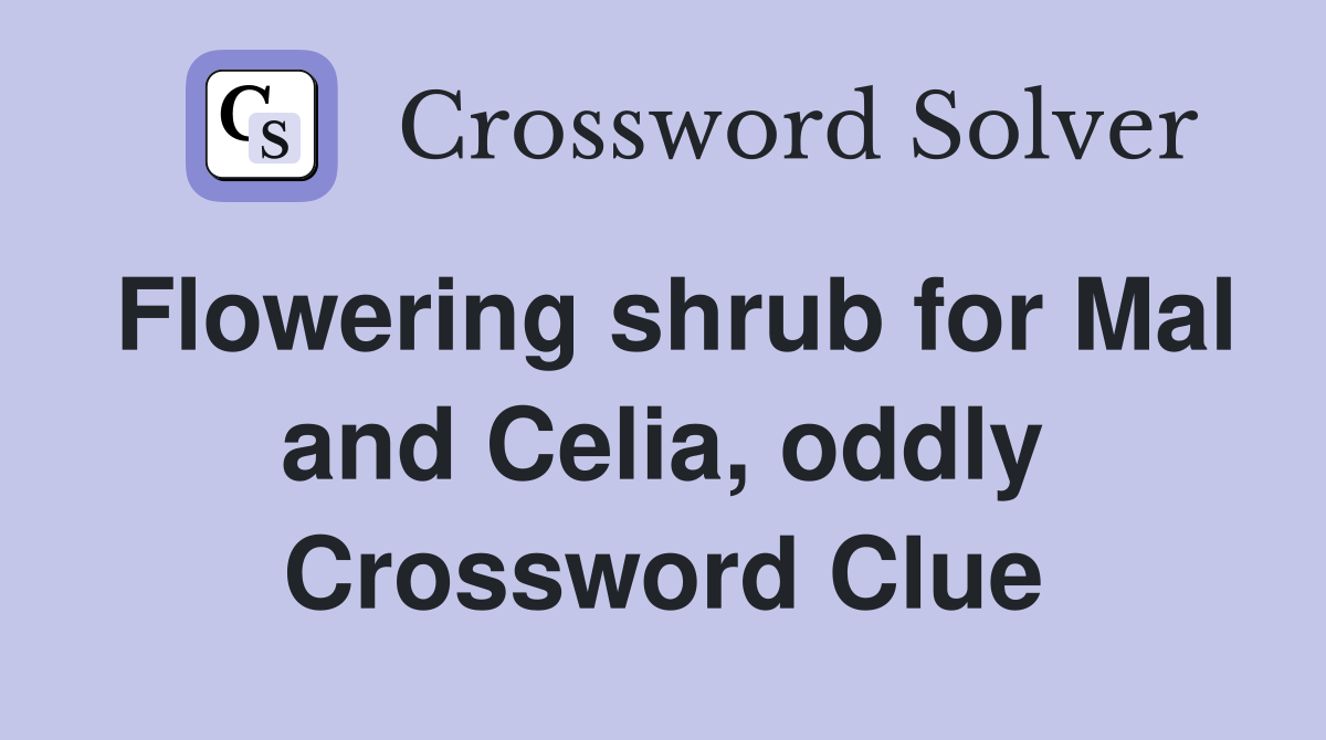 Flowering shrub for Mal and Celia, oddly Crossword Clue
